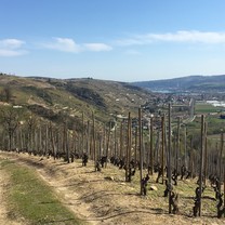 Circuit de randonnée entre le fleuve du Rhône et les vignobles