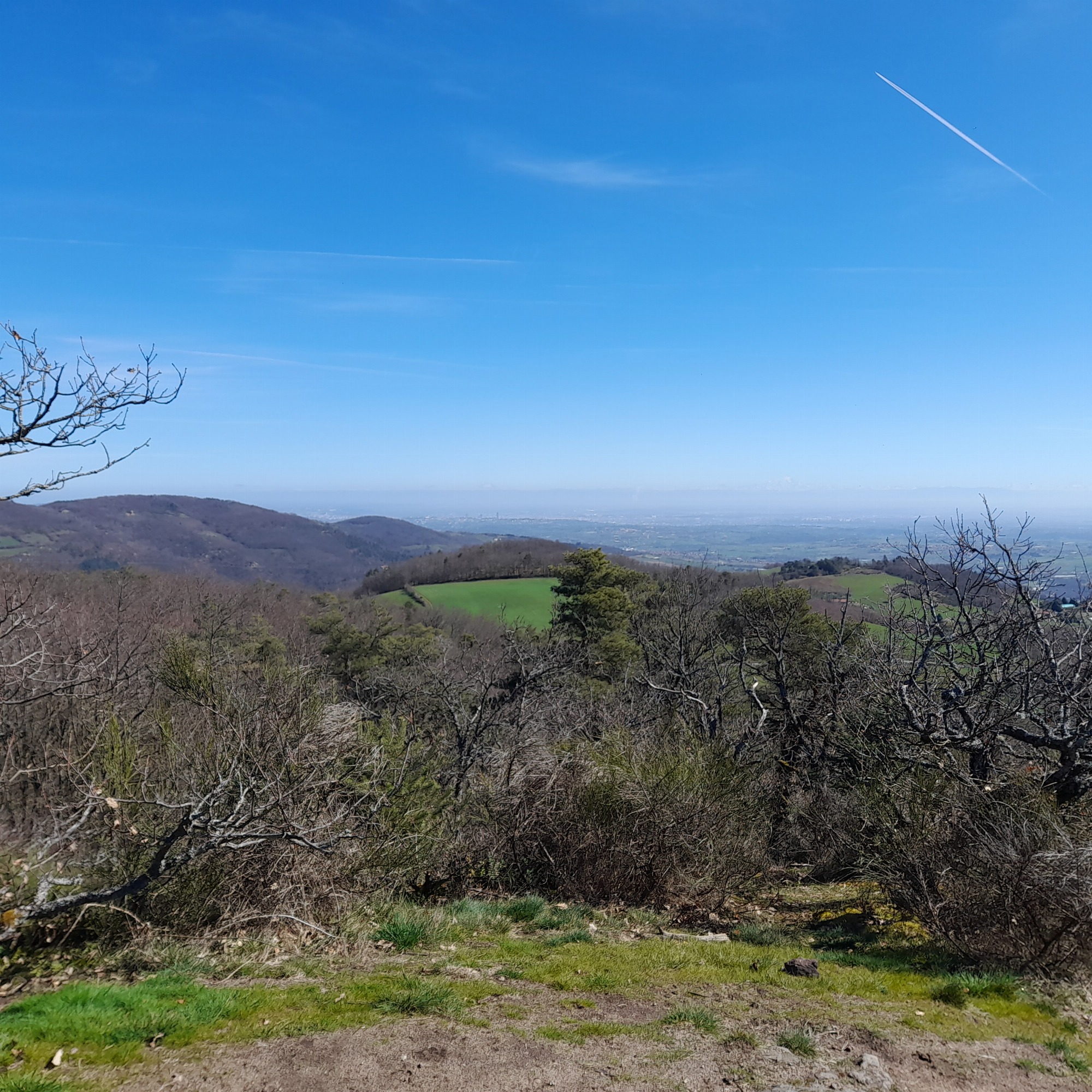 Panorama