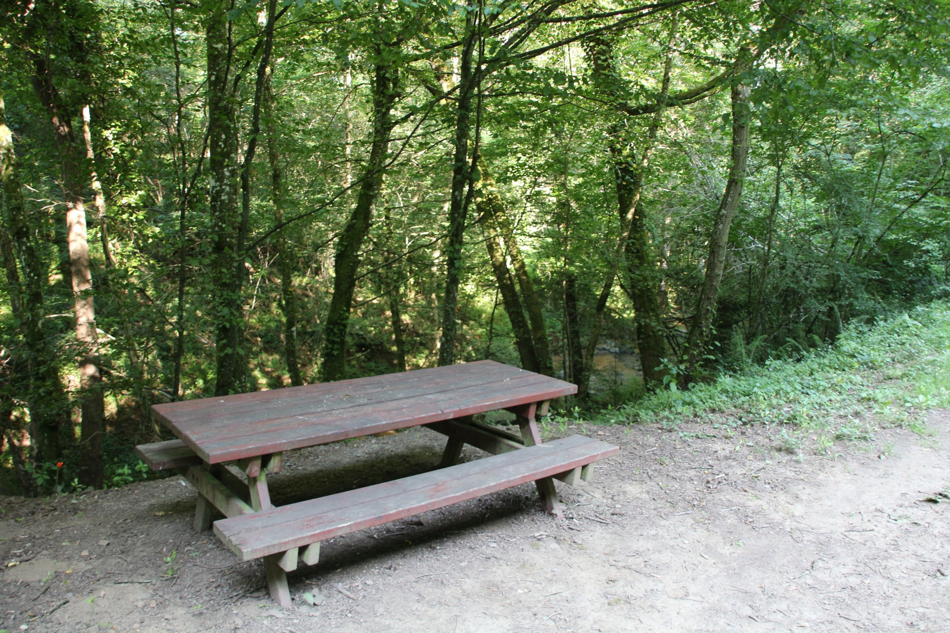 Table de pique-nique
