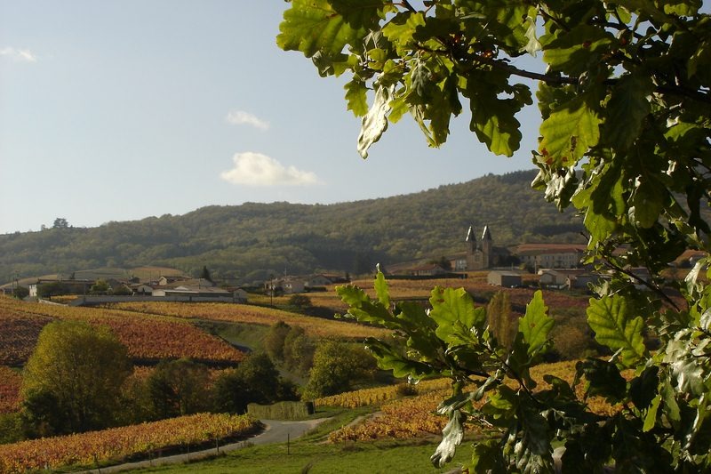 Domaine de Colonat
