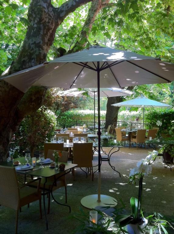 Terrasse sous arbres