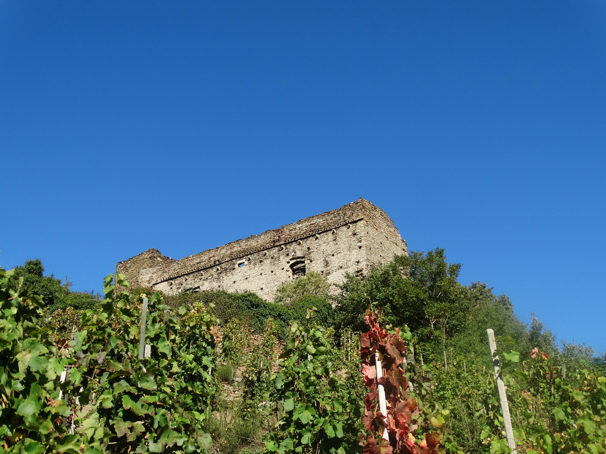 château des Archevêques