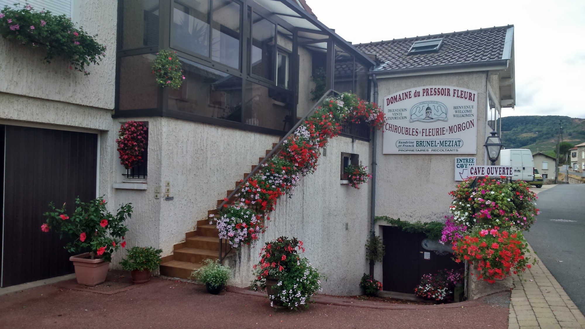Domaine du Pressoir Fleuri à Chiroubles