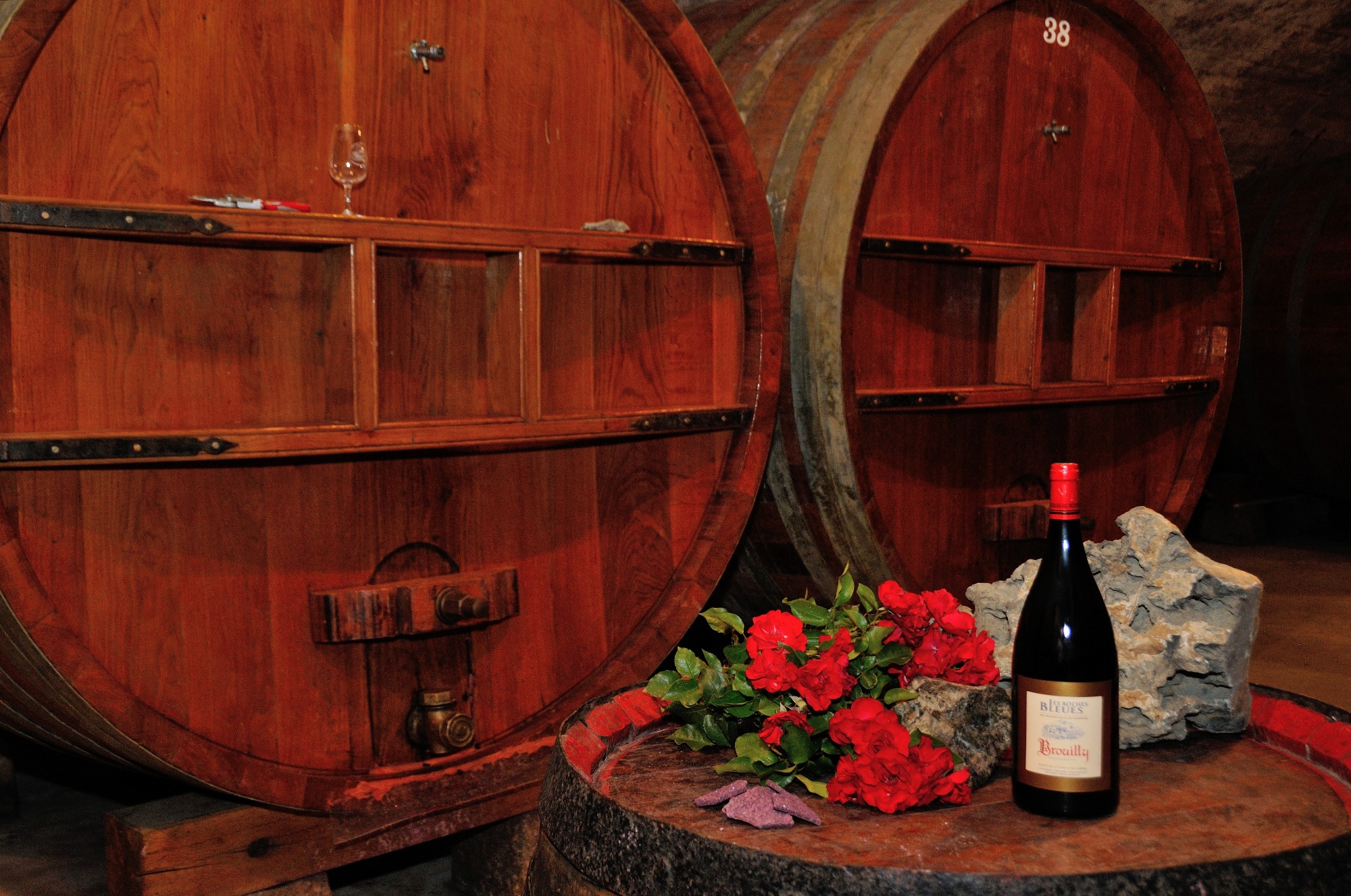 Domaine des Roches Bleues