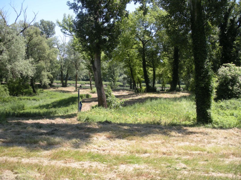 Prairie de la tour de Millery