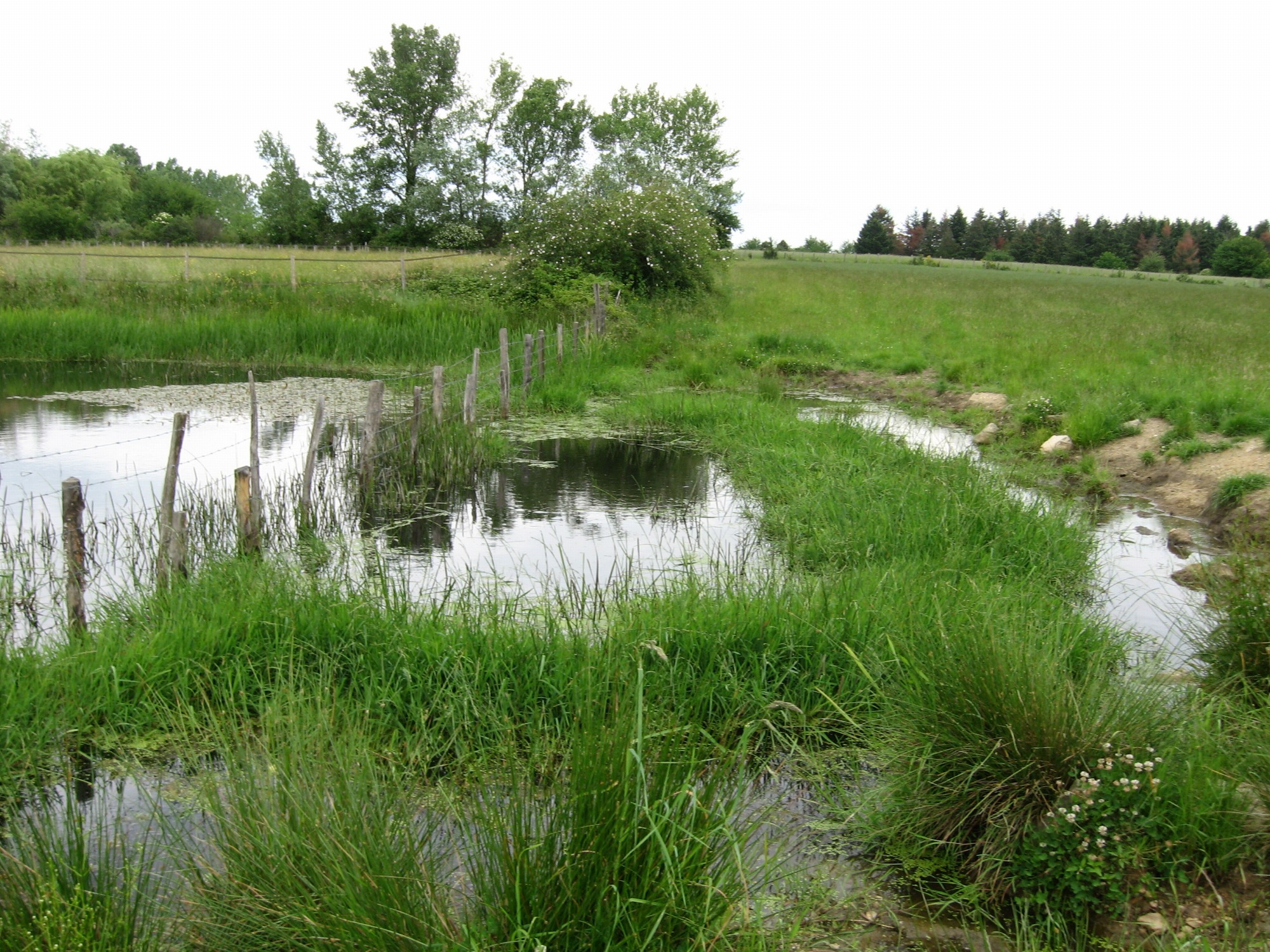 ENS Plateau mornantais