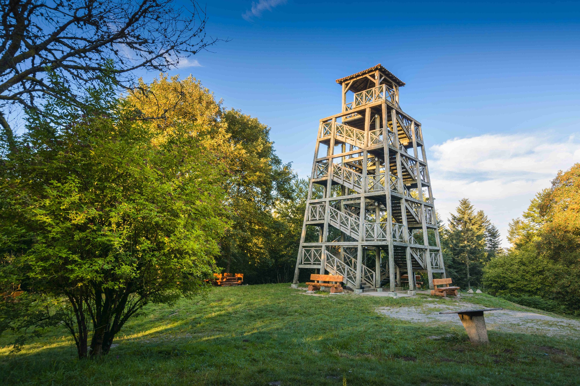Tour d'observation Mont Saint Rigaud