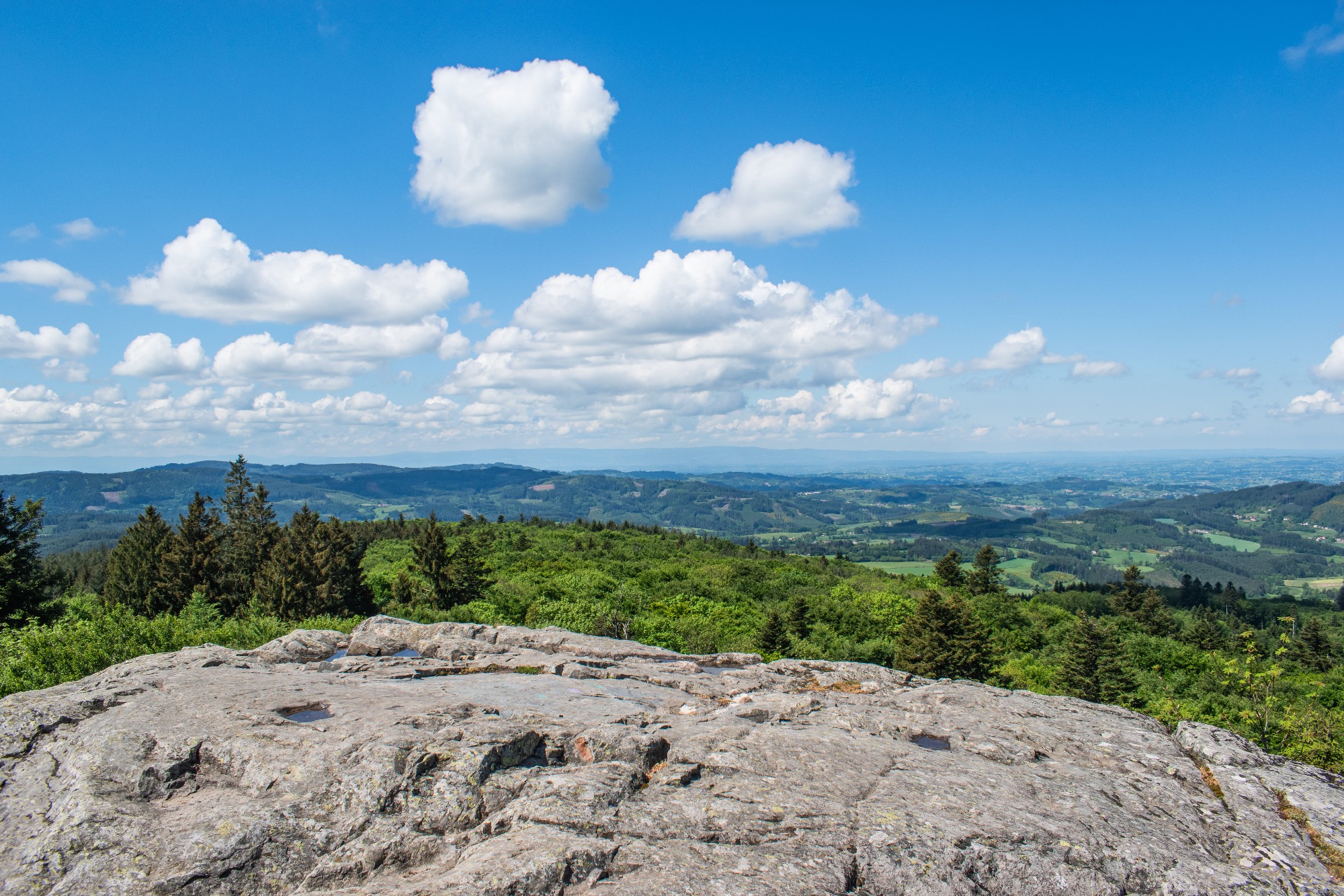 La Roche d'Ajoux_Poule-les-Écharmeaux