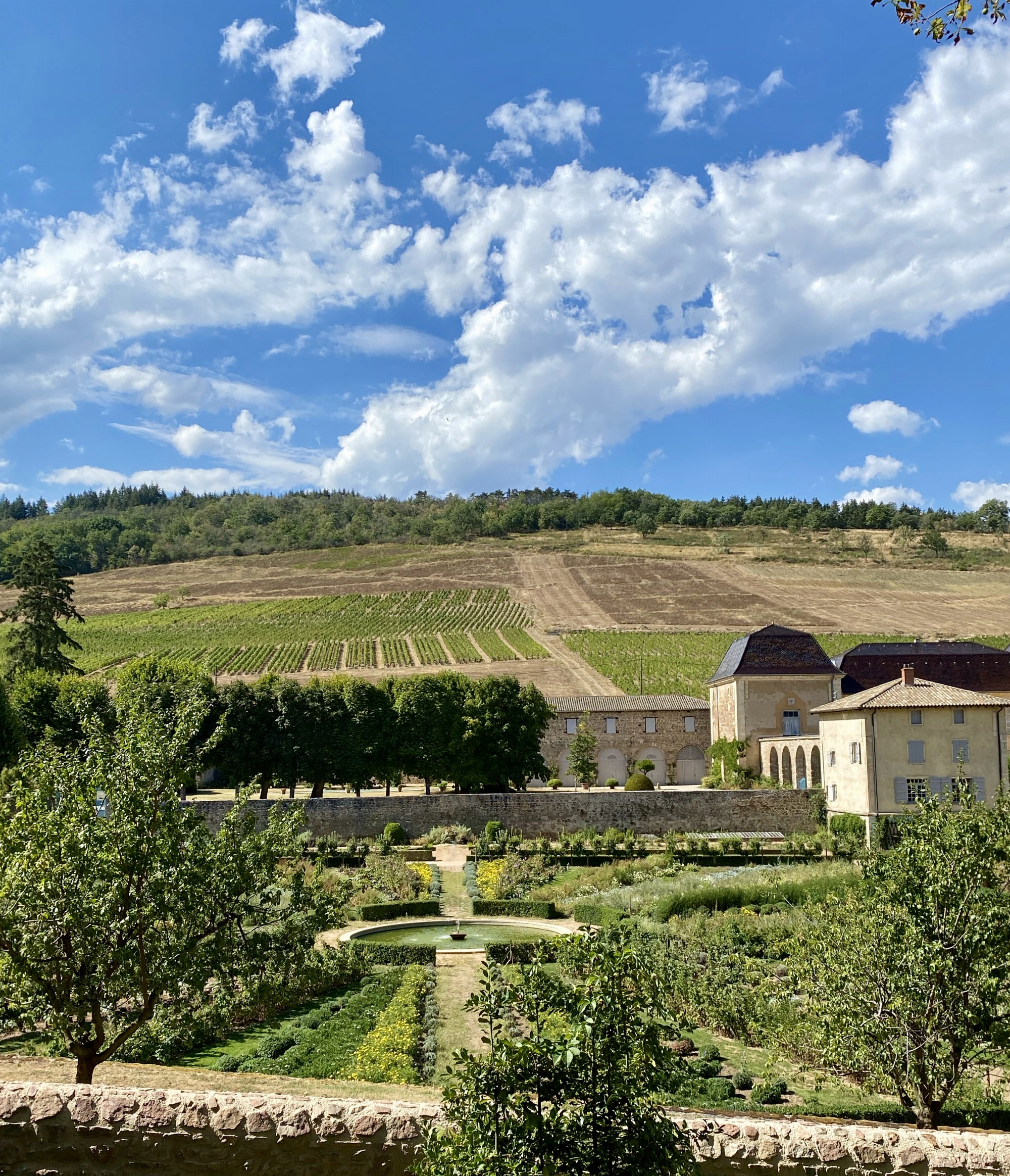 Vignes du Château de La Chaize