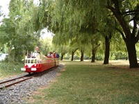petit train