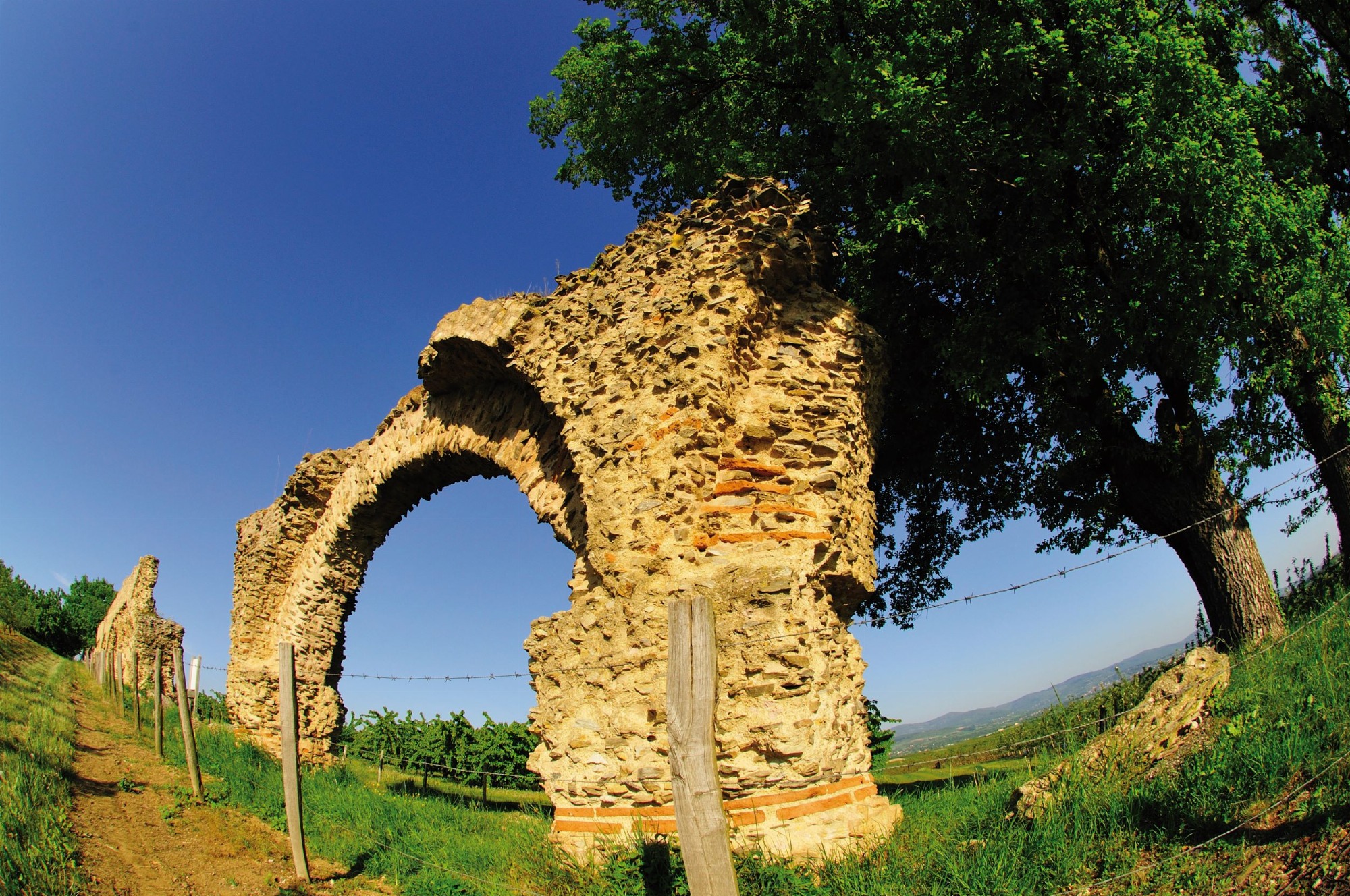 Aqueduc romain du Gier - Le chameau