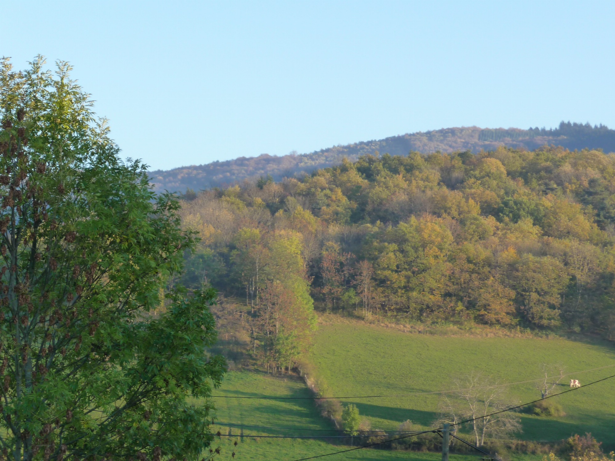 Paysages de Courzieu