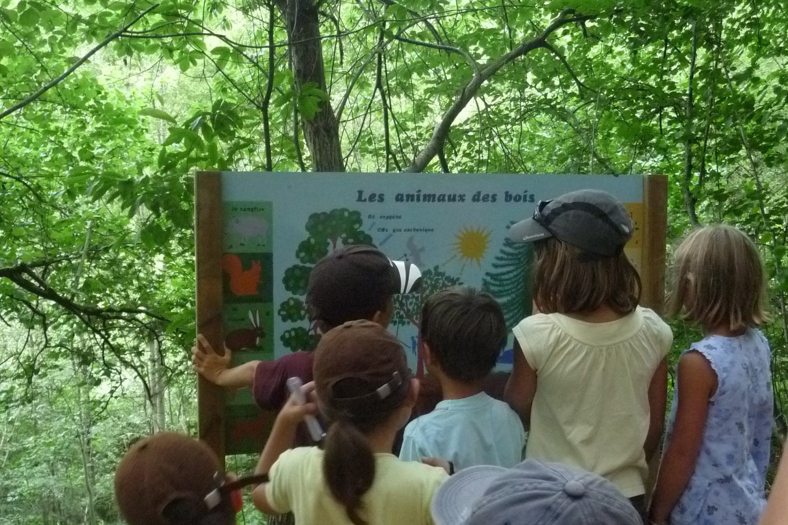 Sentier des petits loups