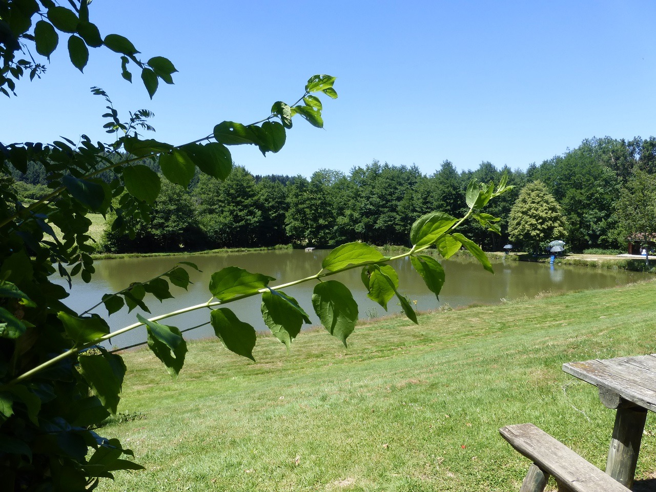 Chalet-Gîte du Plan d'eau d'Azole (Gîte N° 5) à Propières en Haut Beaujolais - proximité du Col des Echarmeaux dans le Rhône : le plan d'eau.