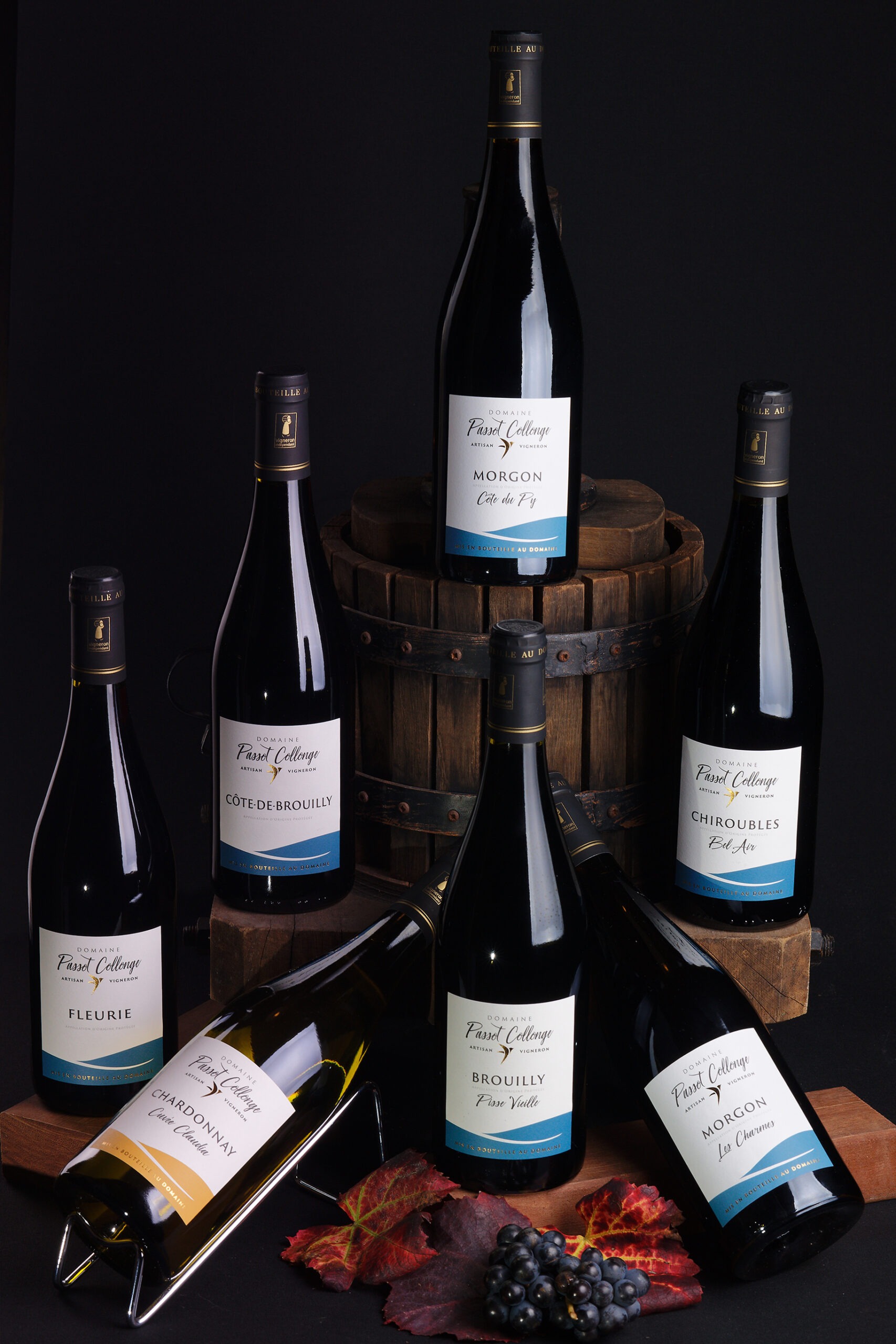 Les vins du domaine