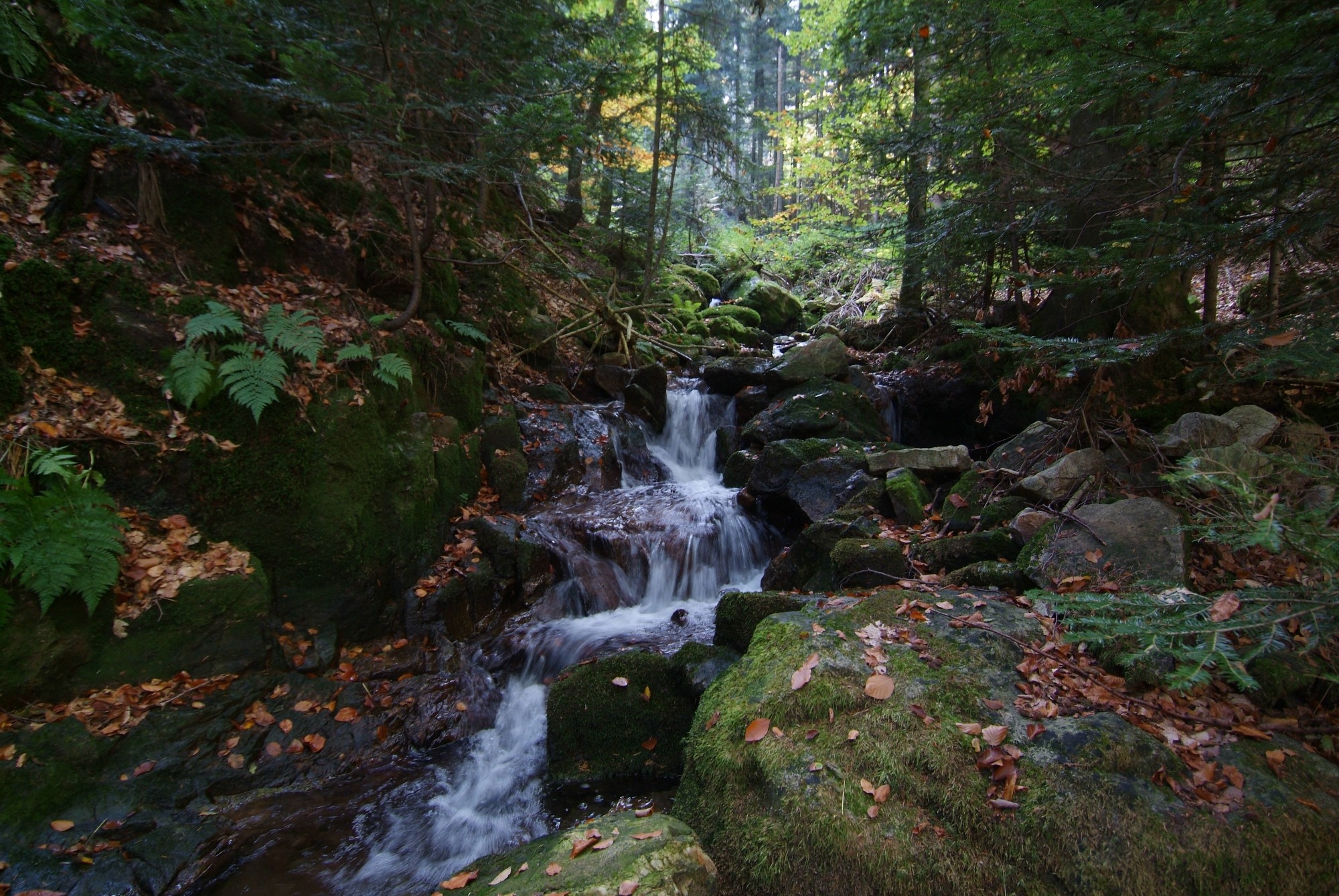 Cascade