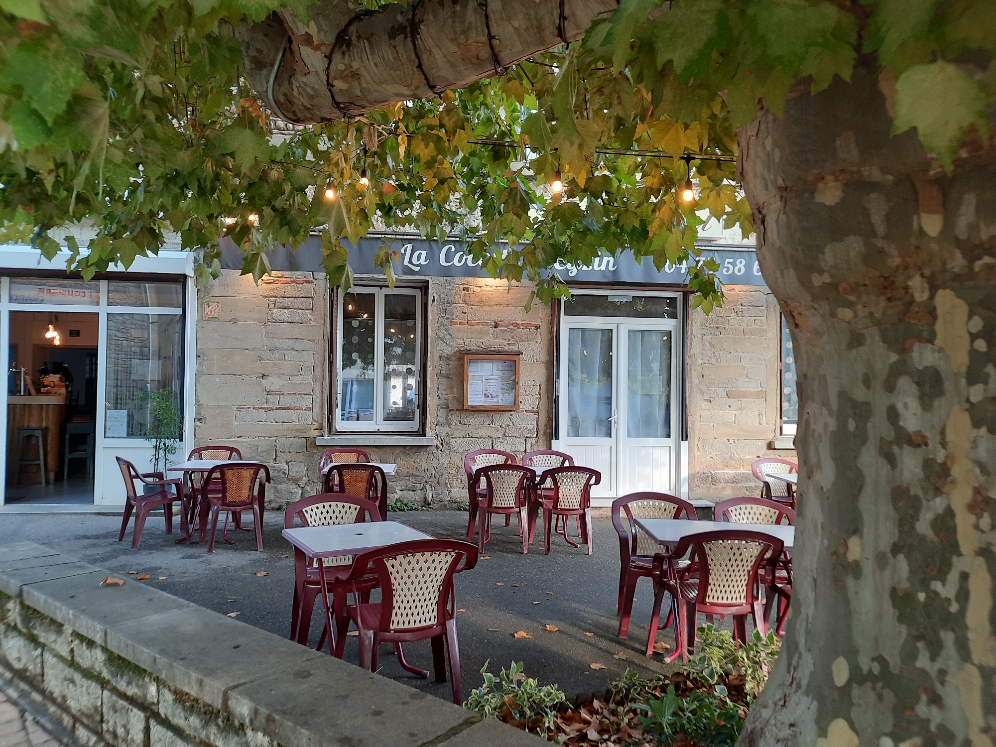 Notre belle terrasse ombragée
