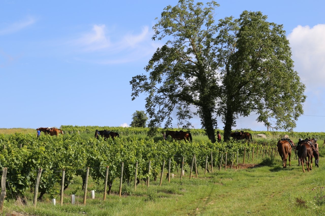 Vue du gite Lumière