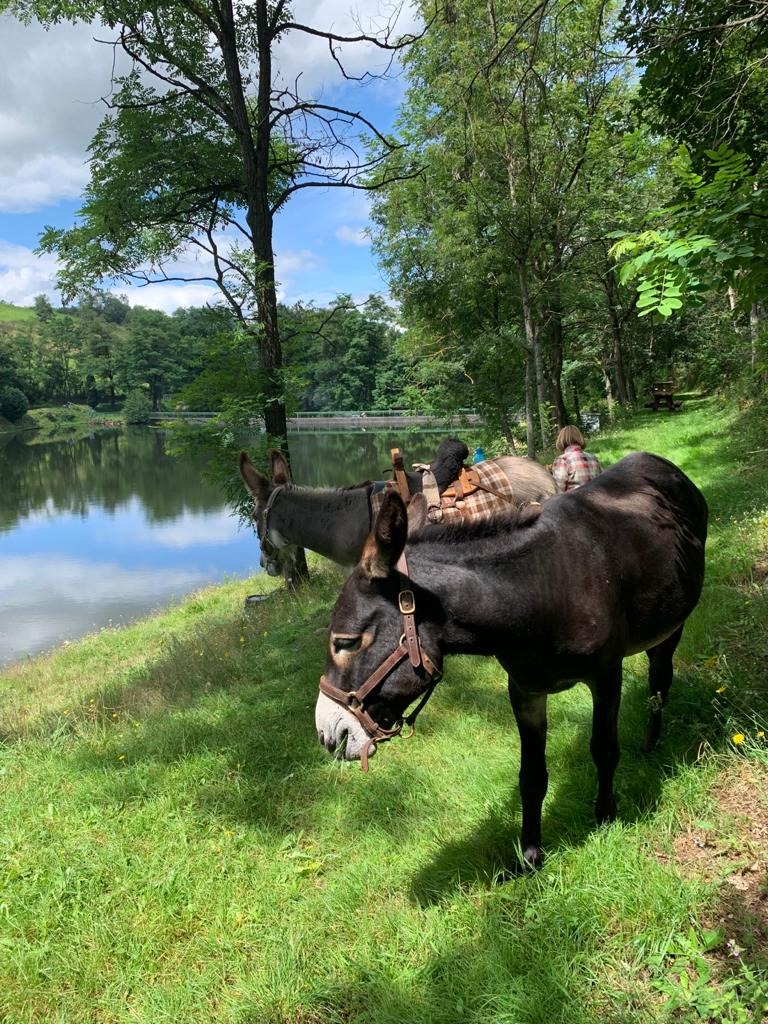 Asinerie de la Framboisine