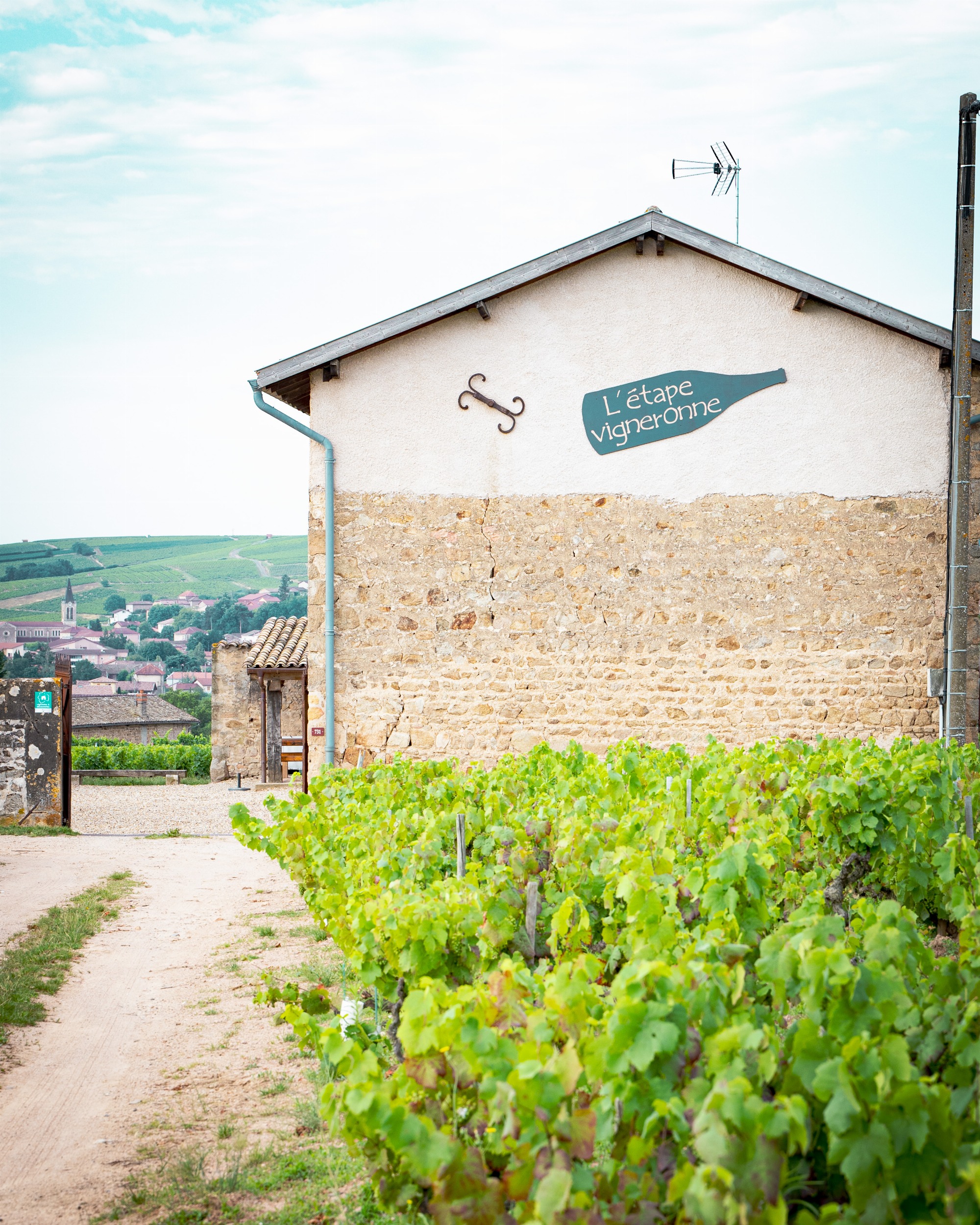 CHARVET Armand - Gîte 2 Le Gamay