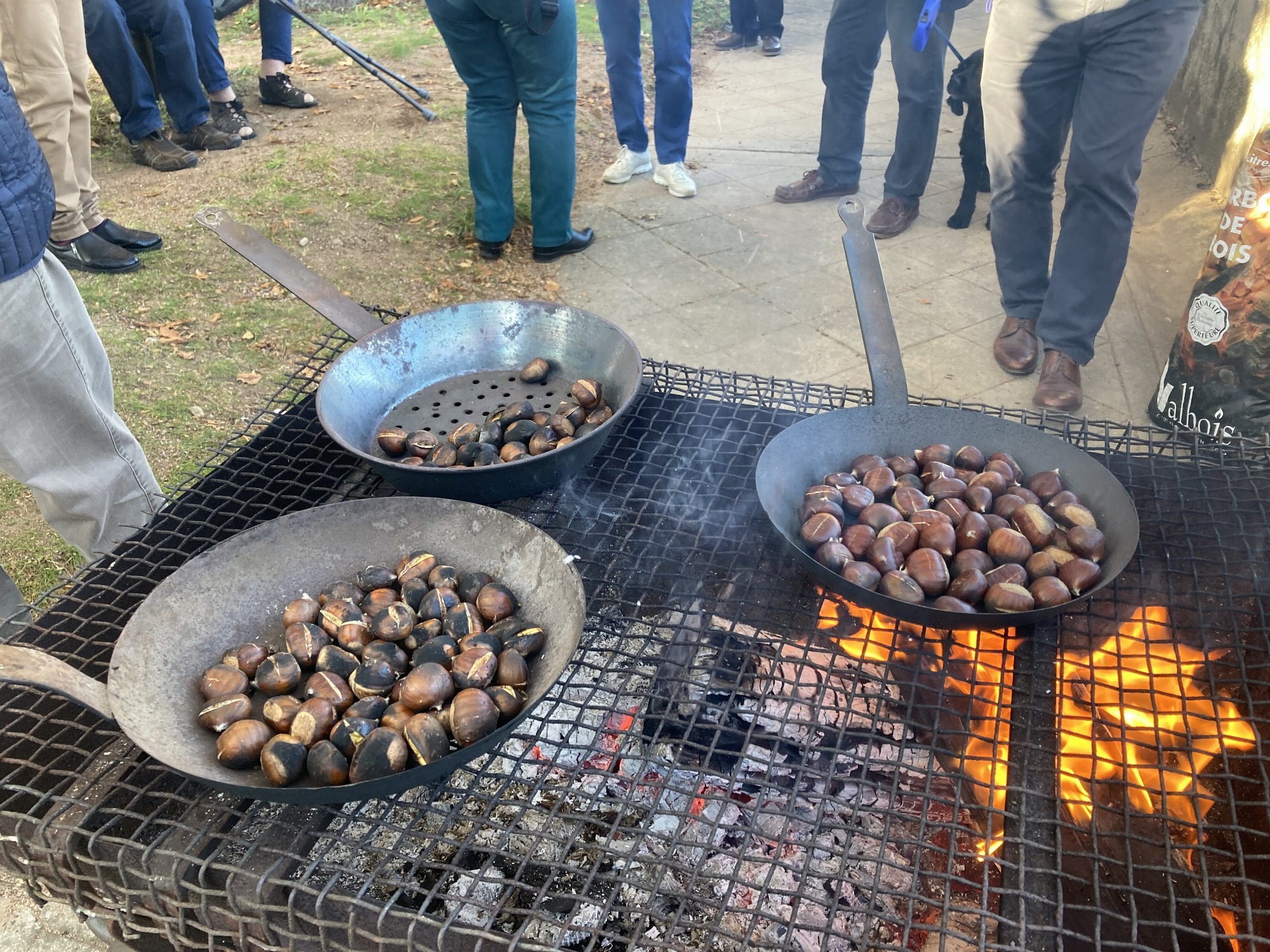 Après-midi châtaignes