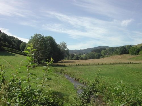 vallon de la Grosne 3