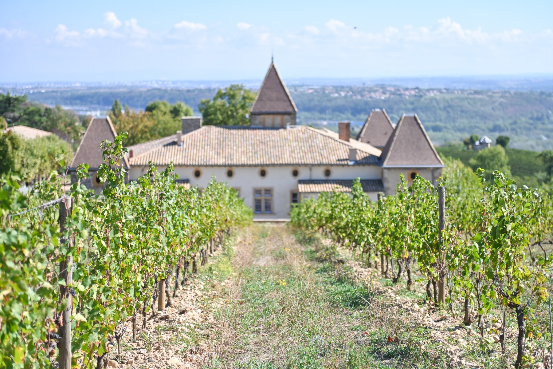 chateau
