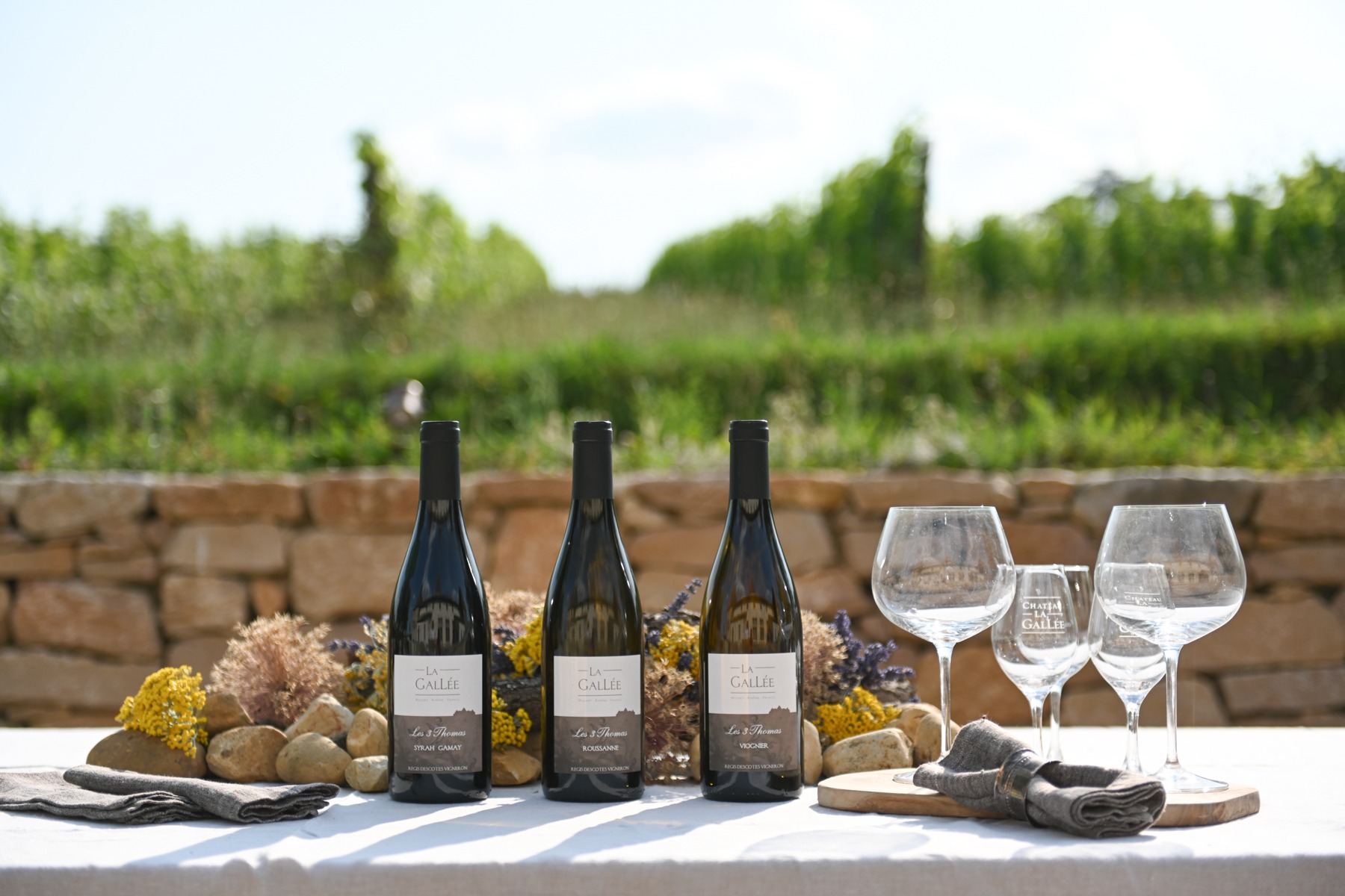 dégustation viticole coté château.jpg