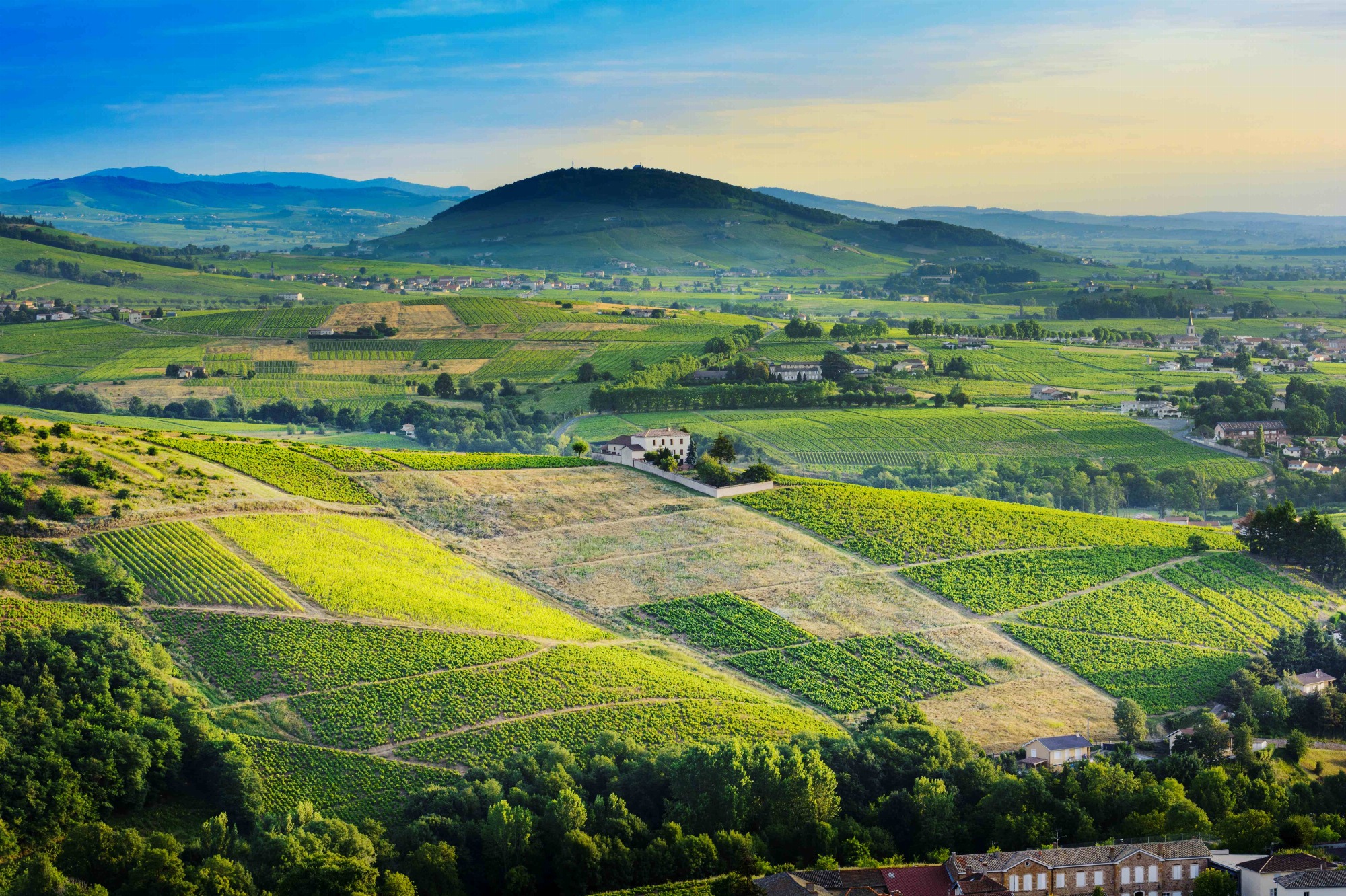 Le Mont Brouilly_Saint-Lager