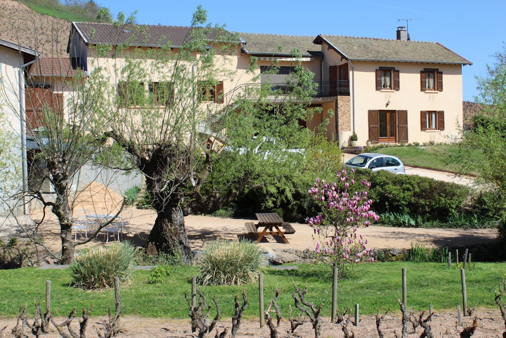 Domaine de Roche-Guillon à FLEURIE