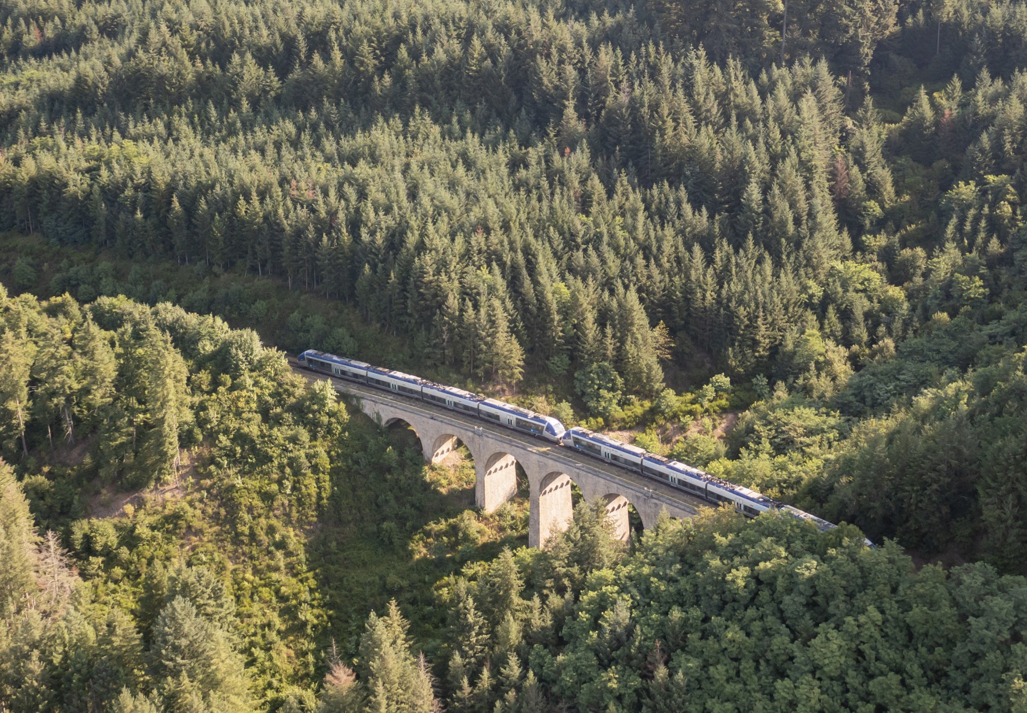 Train sur un viaduc de la vallée d'Azergues