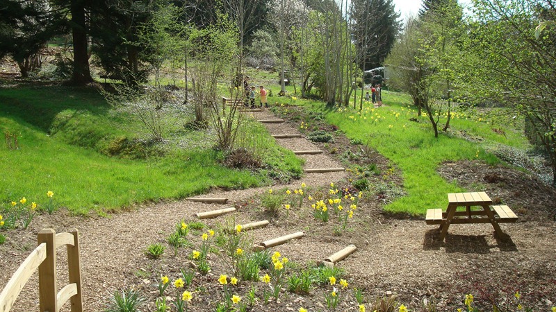 Sentier botanique Romarin