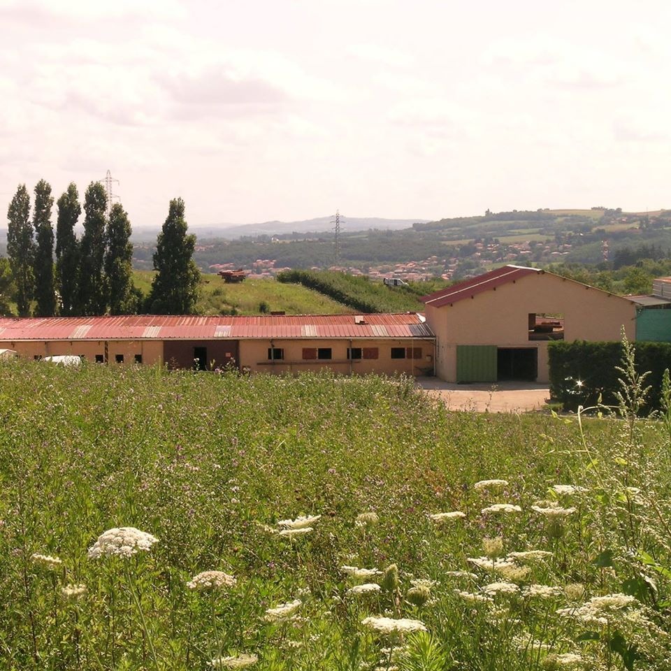 Centre équestre