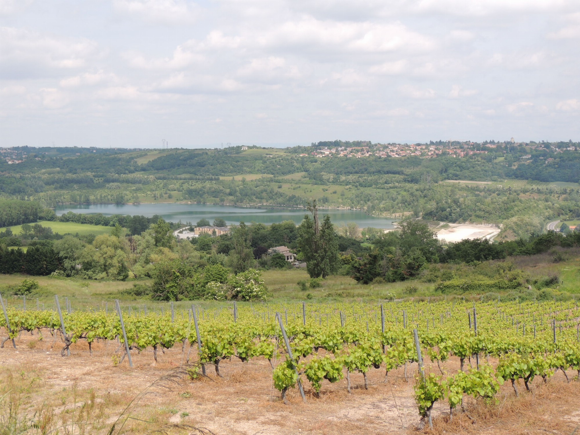 Panorama sur les carrières du Garon et Millery
