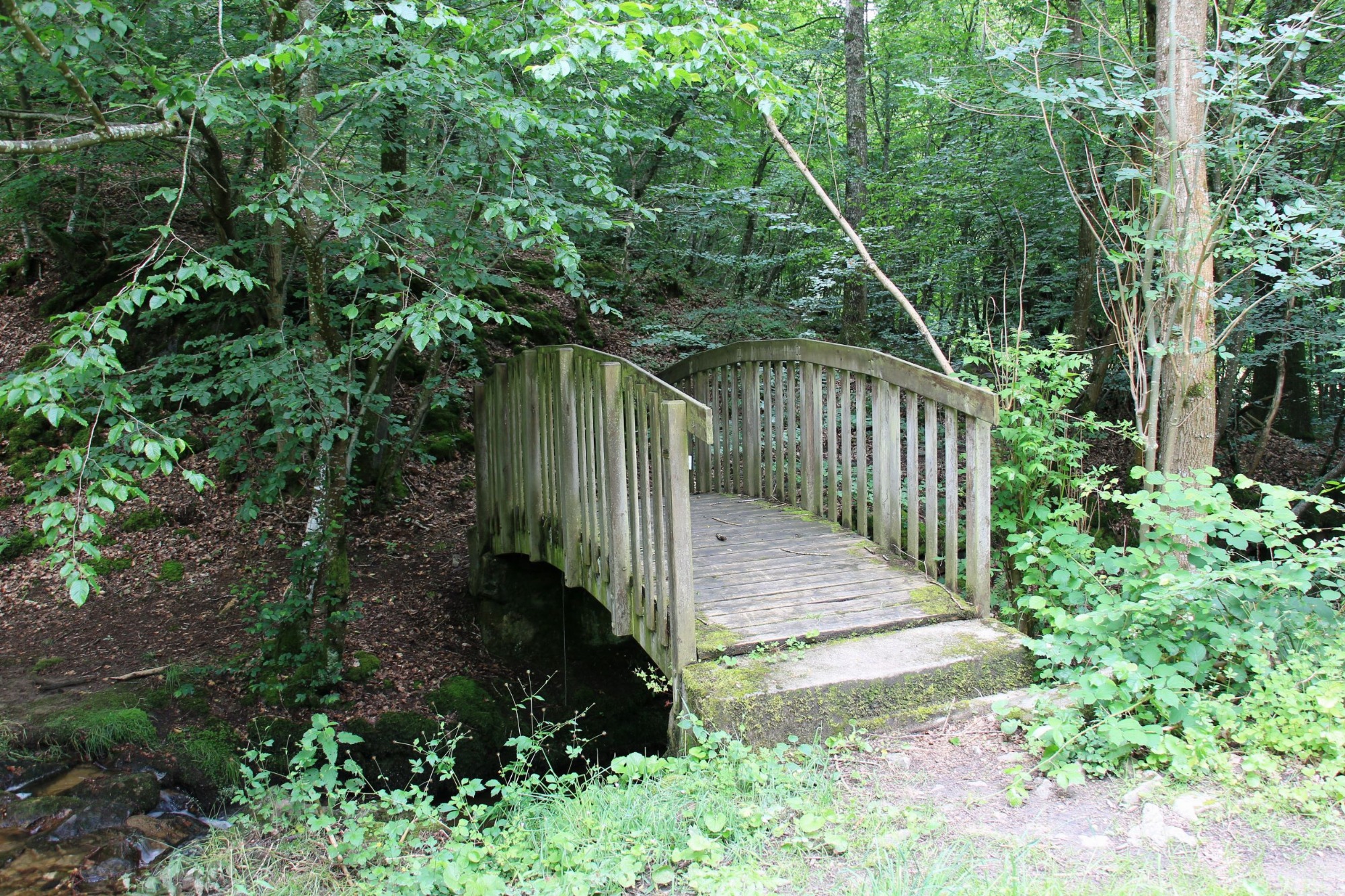 Pont