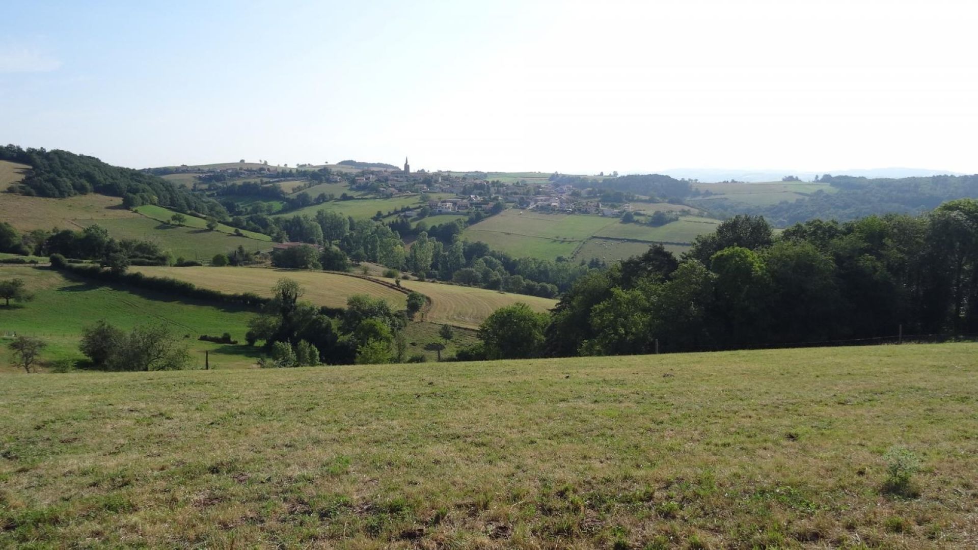 Sentier des blés