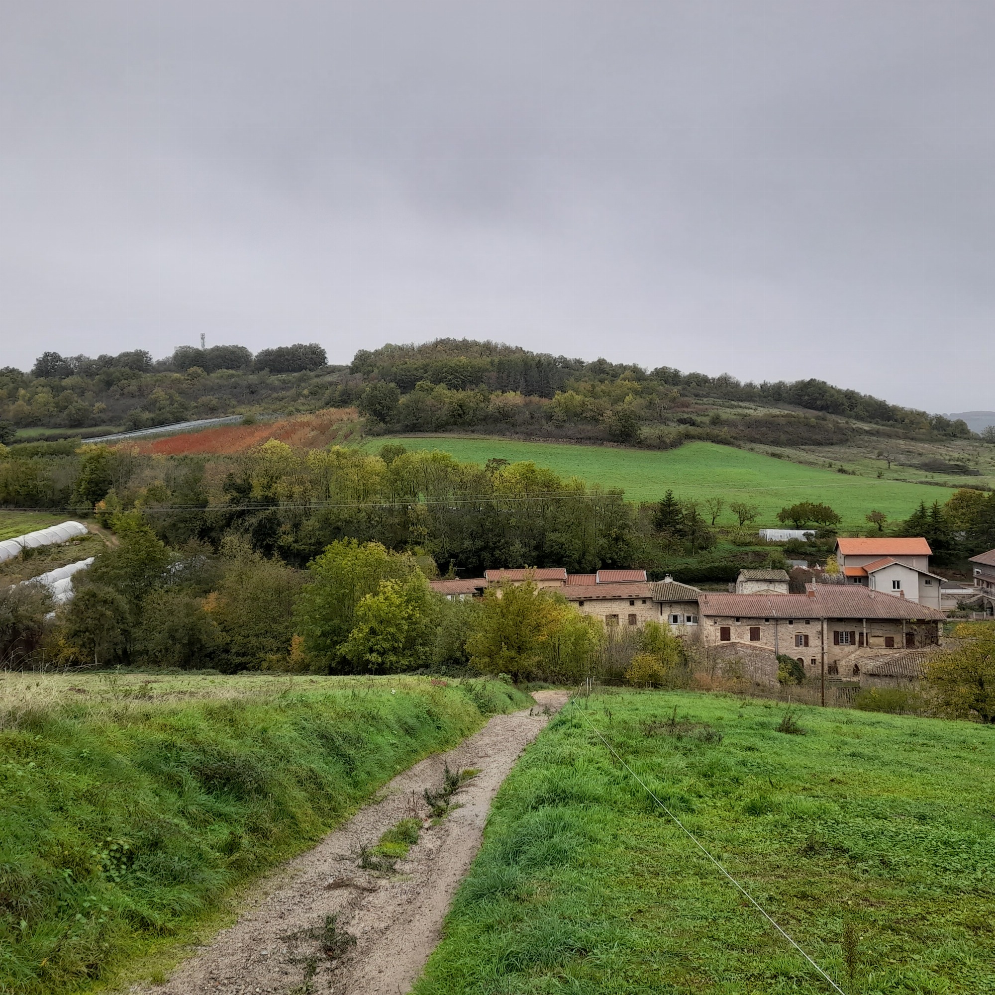 Vue ferme du Roman