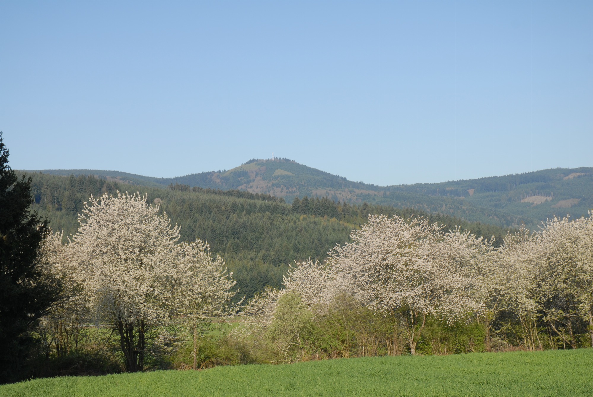Grand trail du St Rigaud