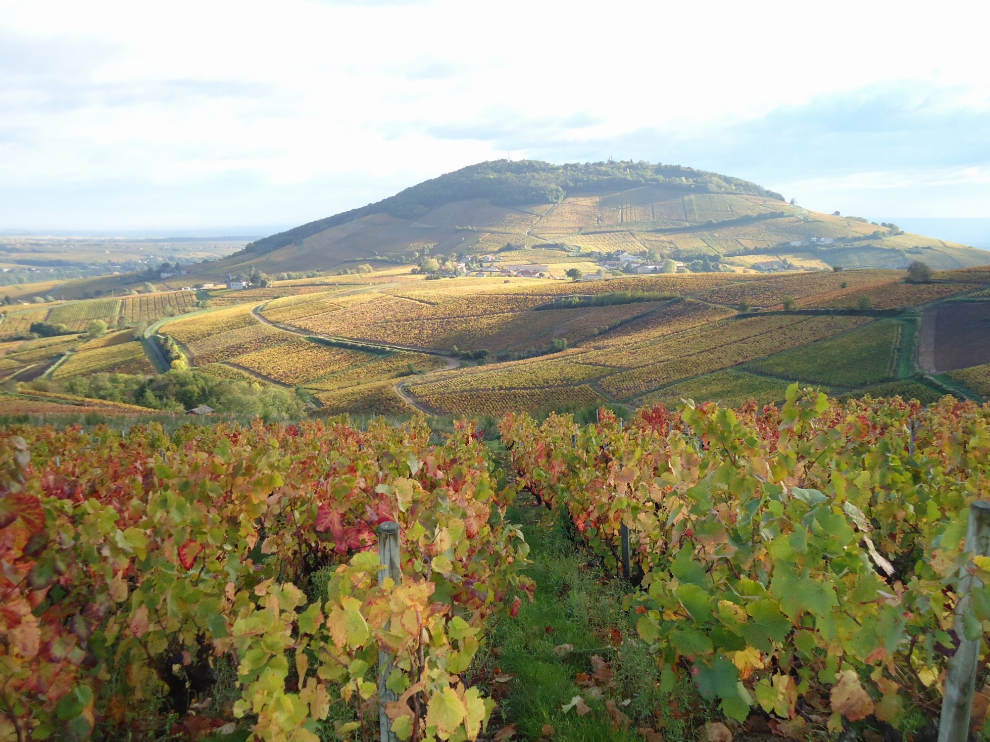Le Mont Brouilly