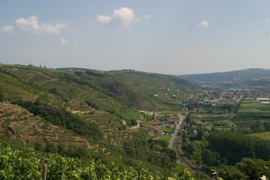 Côtière rhodanienne