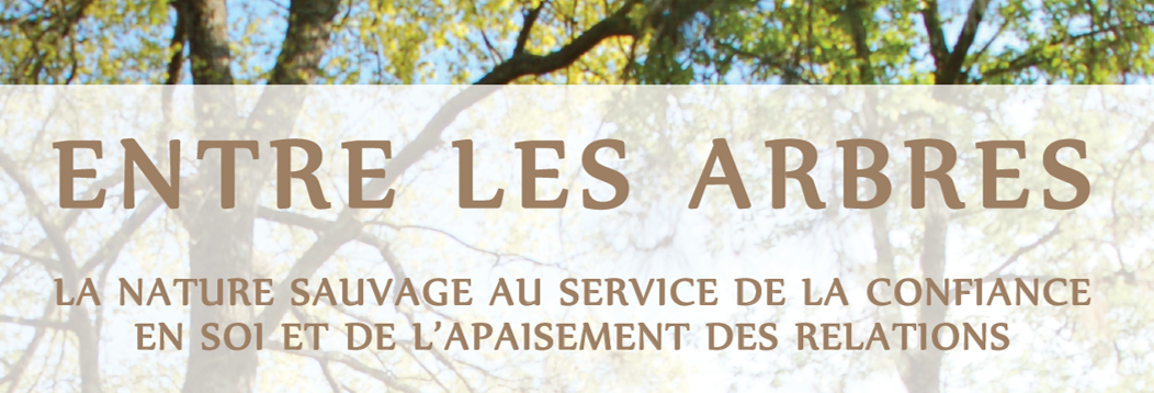 Entre les arbres 2