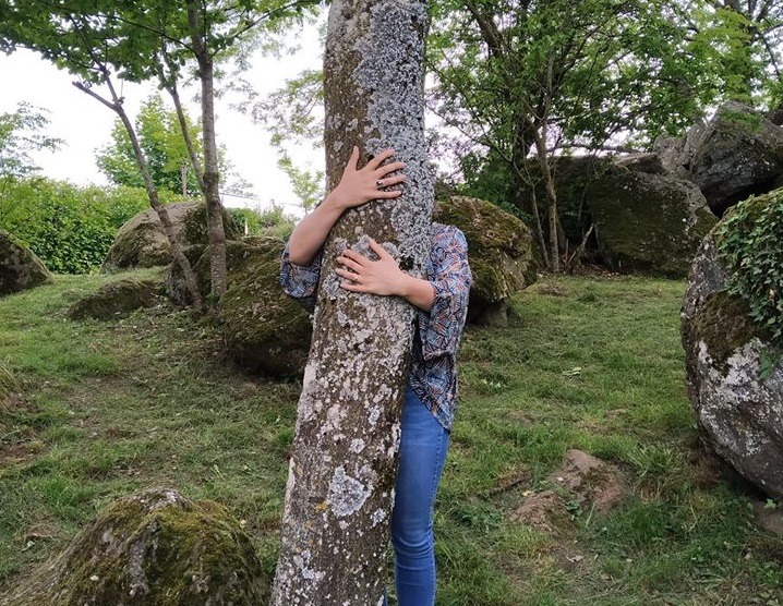 La forêt à travers les sens