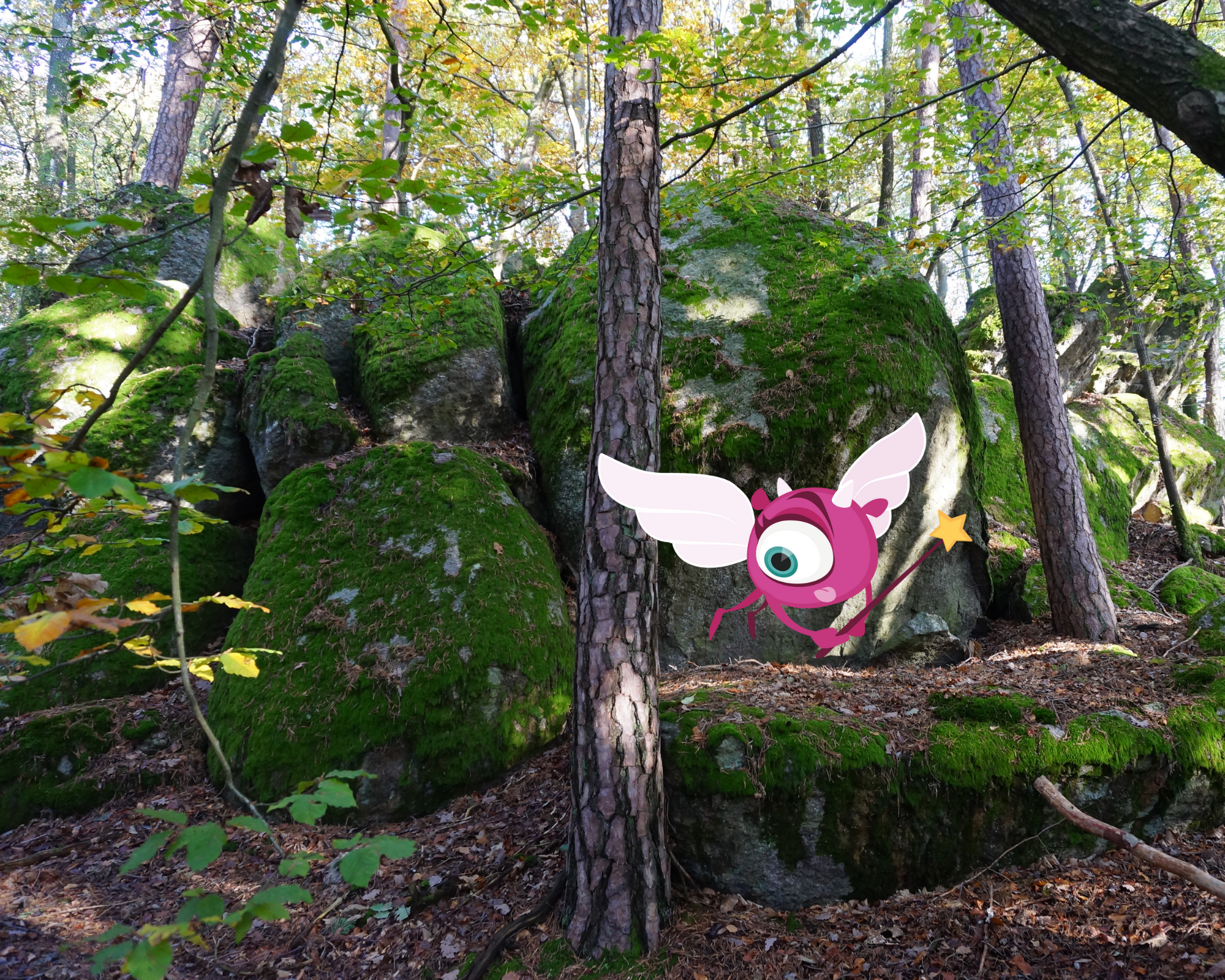 Méga caillou, maxi galère