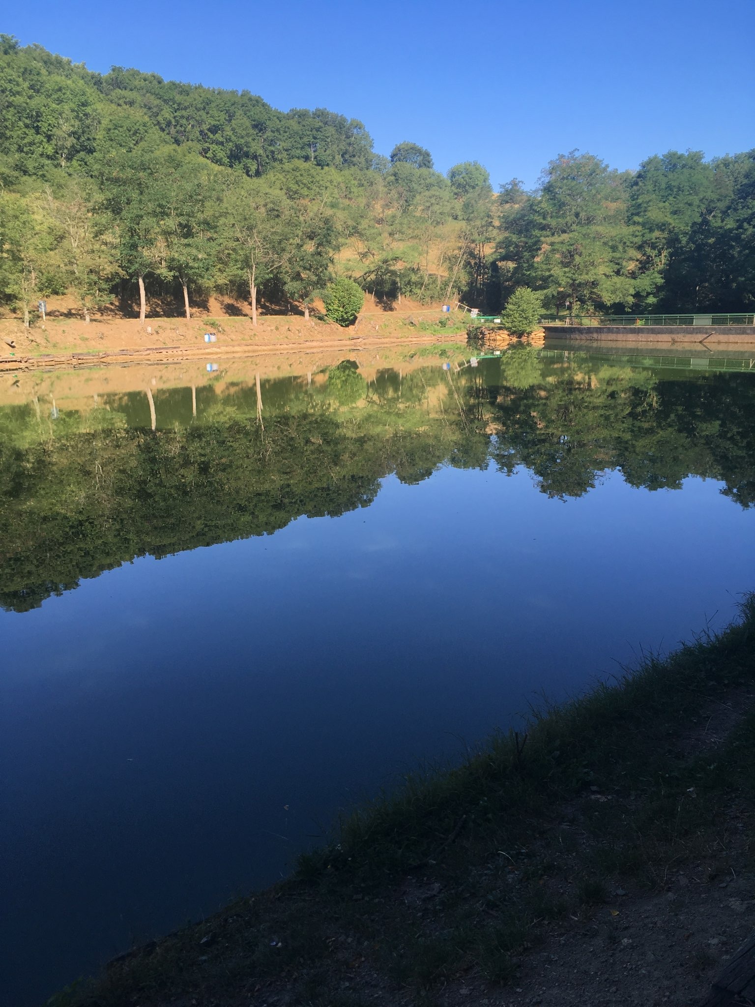 Bassin de la Falconnière