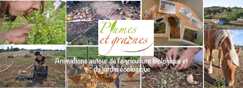 Animations agriculture biologique & jardin écologique