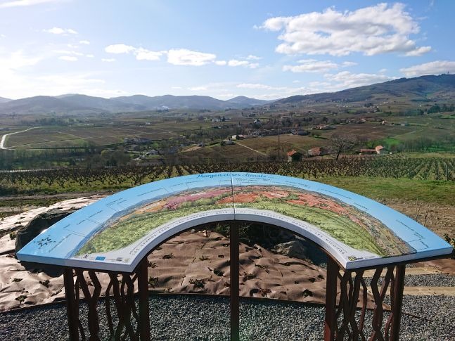 Balade de la Côte du Py Villié Morgon