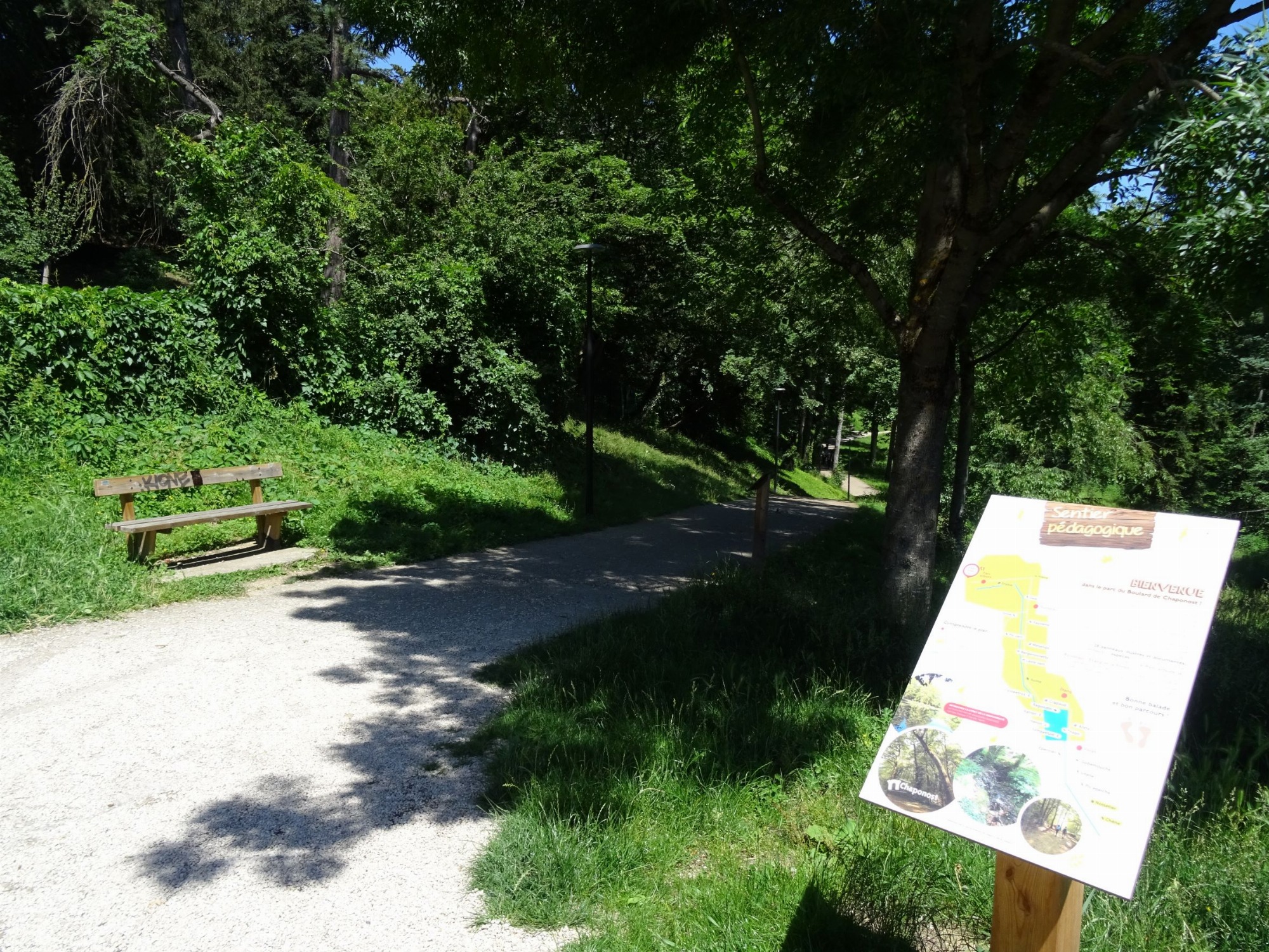 Chemin dans le parc