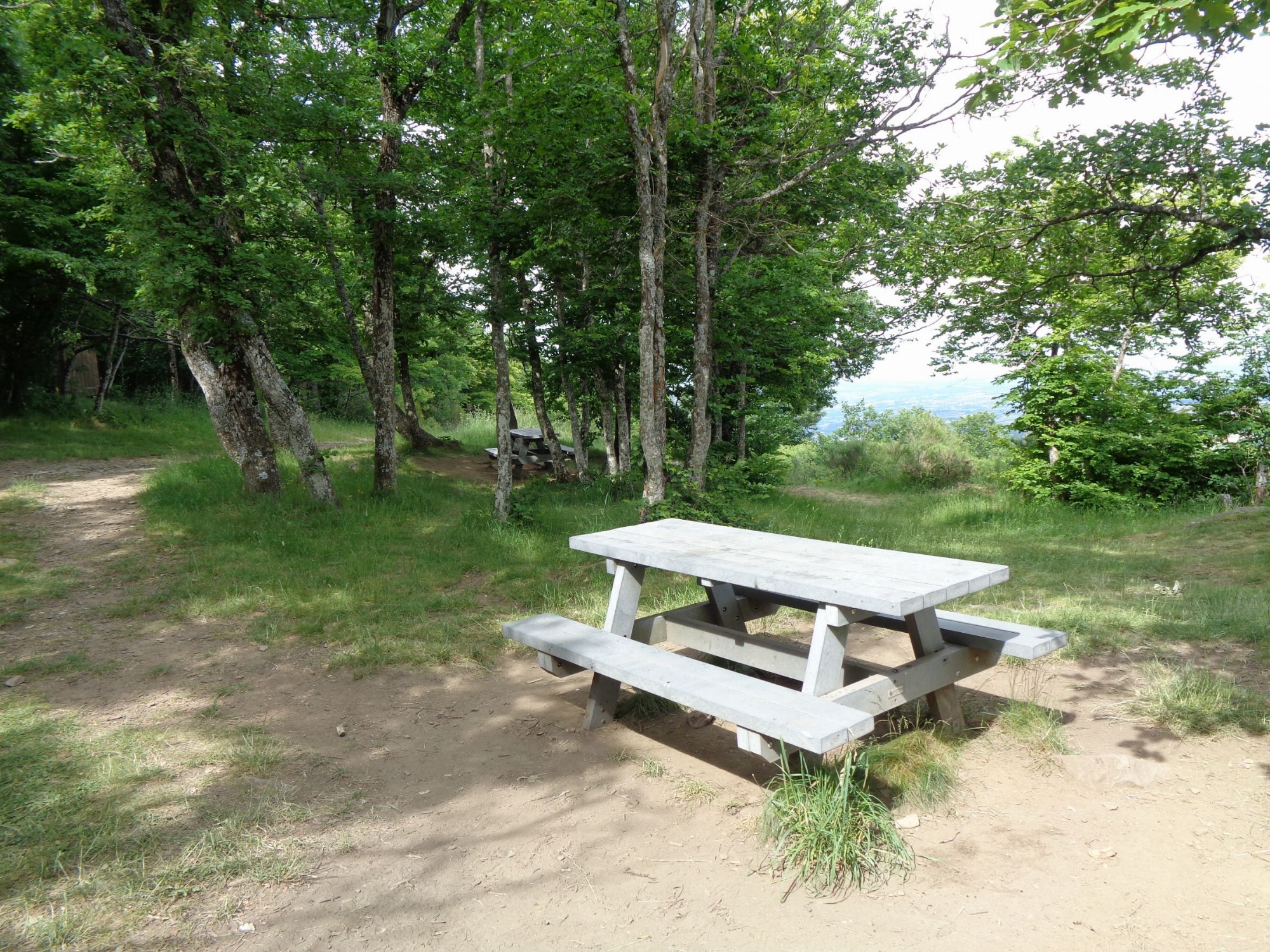 Table de pique-nique