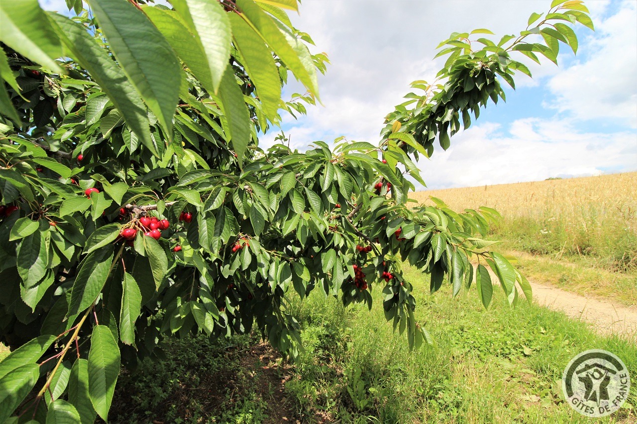 Bienvenue au Gîte à la Ferme