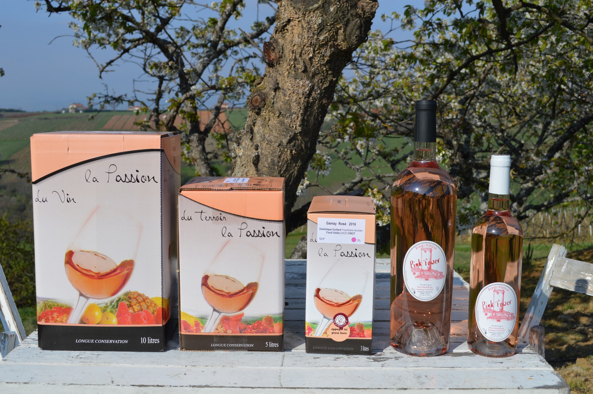 Domaine de Fondvieille